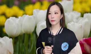 我为情哥唱情歌 我为情哥唱情歌